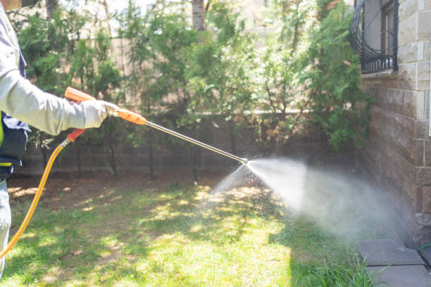 Best Pest Prevention Services  in Crossville, AL